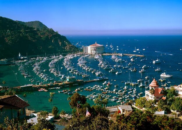 Catalina Island Day Trip From LAX Area Hotels With Undersea Adventure - About Your Stay