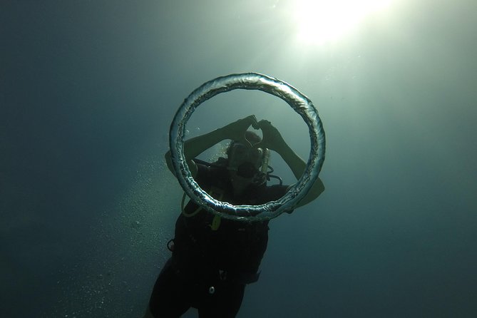 Catalina Island With Scuba Diving - Full Day Tour - Inclusions