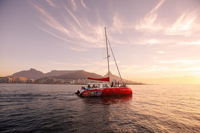 Catamaran Sunset Champagne Cruise Cape Town - Good To Know
