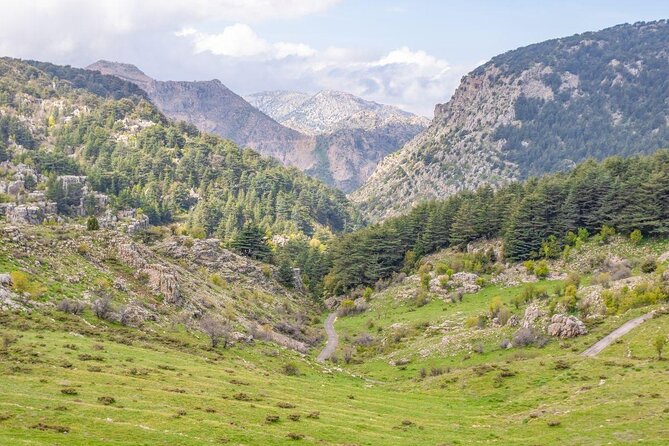 Cedars, Bsharre & Kozhaya Day Tour - Good To Know