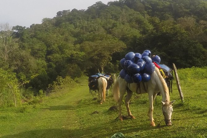 Chagres Challenge Overnight - 2 Days Jungle Expedition in Chagres National Park - Good To Know