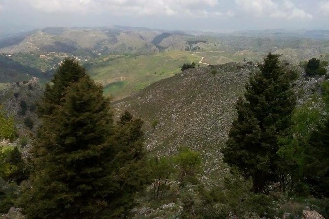 Chania Shore Excursion to the White Mountains Review - Key Points
