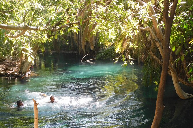 Chemka (Kikuletwa) Hot Springs, Tanzania - Good To Know