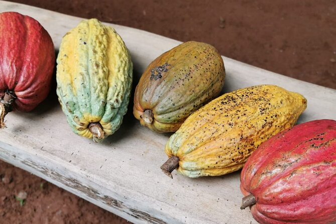 Chocolate and Coffee Tasting Tour Manuel Antonio - Good To Know