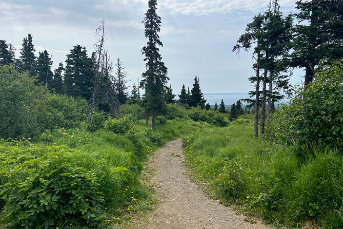 Chugach State Park Nature Walk - Good To Know