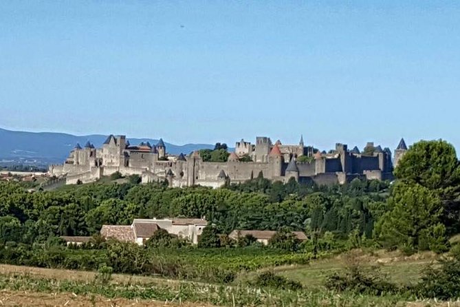 Cité De Carcassonne and Canal Du Midi Private Half Day Tour From Toulouse - Tour Overview
