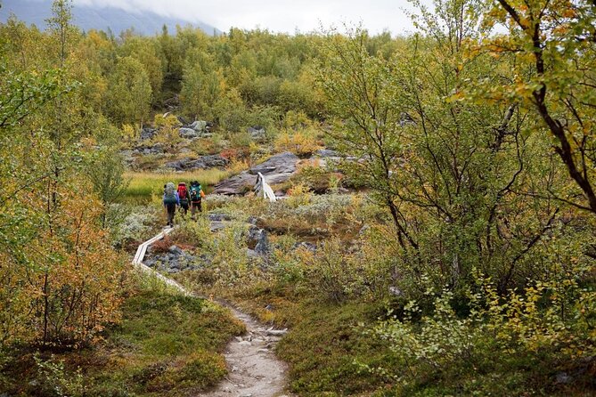 Classic Fatbike Tour in the Pyhä-Luosto National Park - Good To Know