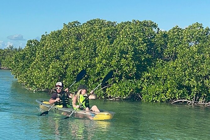 Clear Bottom Kayak Mangrove Eco Tour - Good To Know