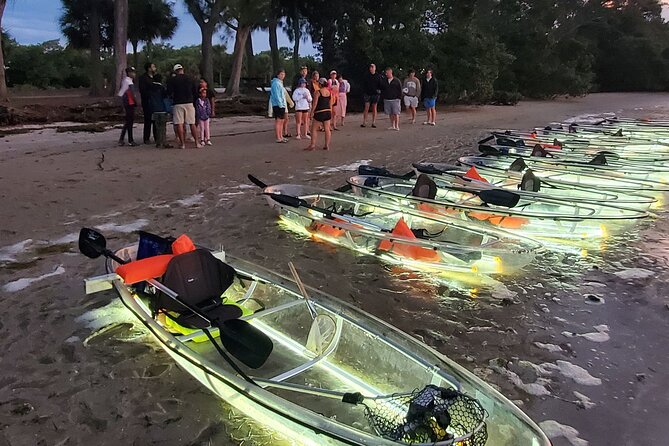 Clear Kayak LED Night Glass Bottom Tour - Anna Maria Island - Nighttime Kayaking Experience