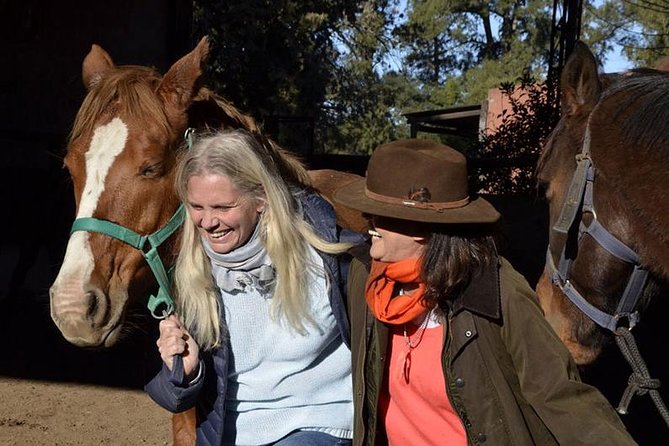 Coaching With Horses in Buenos Aires, Argentina - About Your Stay