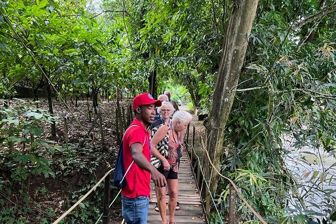Cocoa & Artisan Chocolate Route With an Historical Tour in Puerto Plata City - Tour Overview and Details
