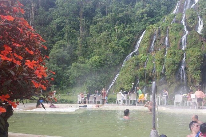 Coffee Culture and Hotsprings - Good To Know