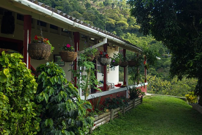 Coffee Farm Experience at Café De La Cima From Medellín - About Your Stay