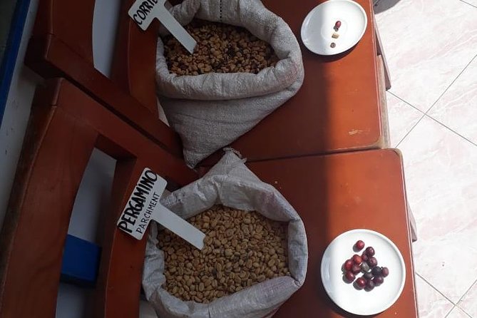 Coffee Tour Medellin - About Your Stay
