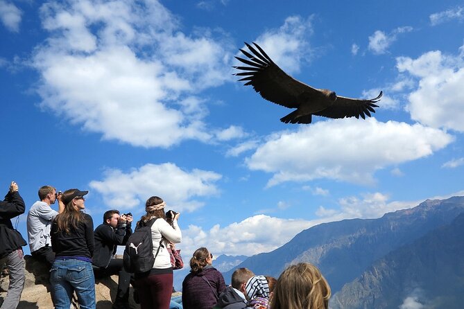 Colca Canyon 2 Days From Arequipa With Final Transfer to Puno - Good To Know