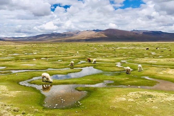 Colca Canyon Tour 2d Short Hiking + Overnight in Small Village Ending in Puno - About Your Stay