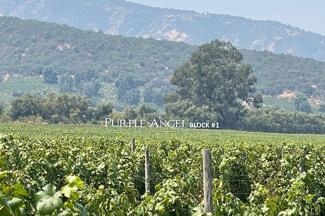 Colchagua Valley Tour & Tasting - About Your Stay