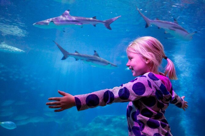 Combi Ticket: LEGOLAND Discovery Centre & SEA LIFE Oberhausen - Good To Know