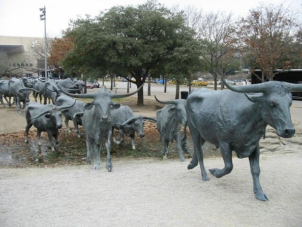 Combination Southfork Ranch and Dallas/JFK Highlights Tour - Good To Know