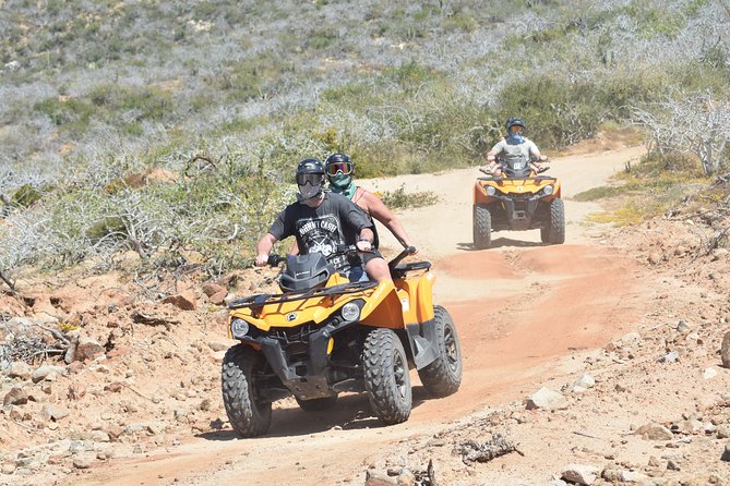 Combo Double Atv + Horses - Key Points