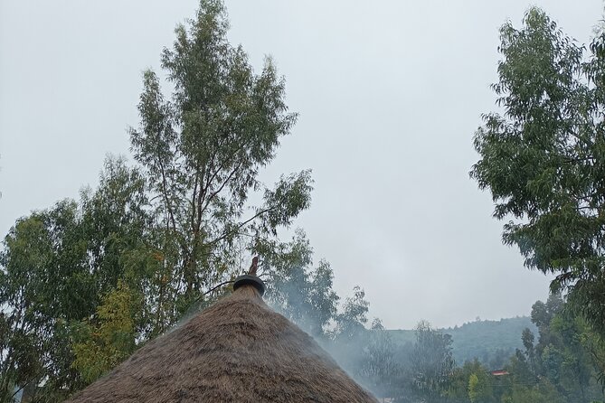 Cooking a Diversity of Ethiopia Food; Enjoy the Rular Area Life &Coffee Ceremony - Good To Know