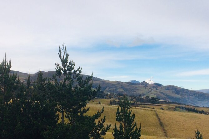 Cooking Class at the Andes & Roses: PRIVATE Day Trip From Quito - Tour Overview