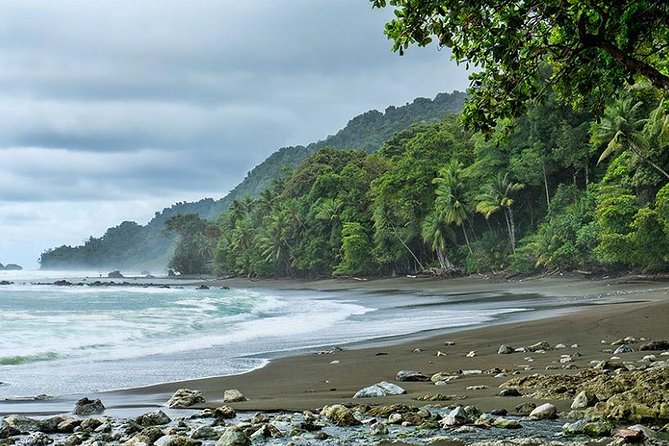 Corcovado National Park One Day Tour - About Your Stay