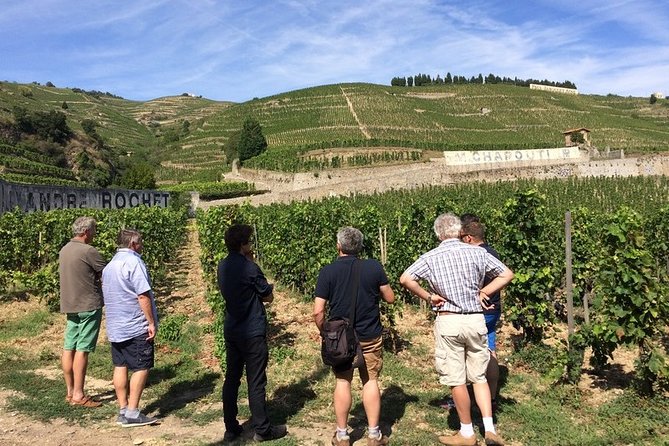 Cotes Du Rhone Wine Tour - Private Tour - Full Day From Lyon - Good To Know