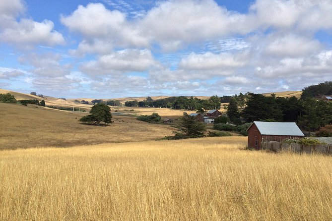 Cow Heaven: a Self-Guided Driving Tour From Point Reyes Seashore to Tomales - Good To Know