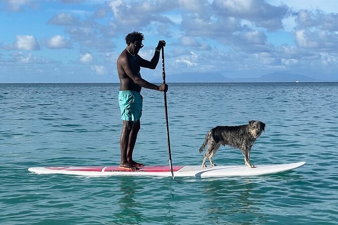 Crabbe Hill Beach Private Sunset Paddleboard - Good To Know