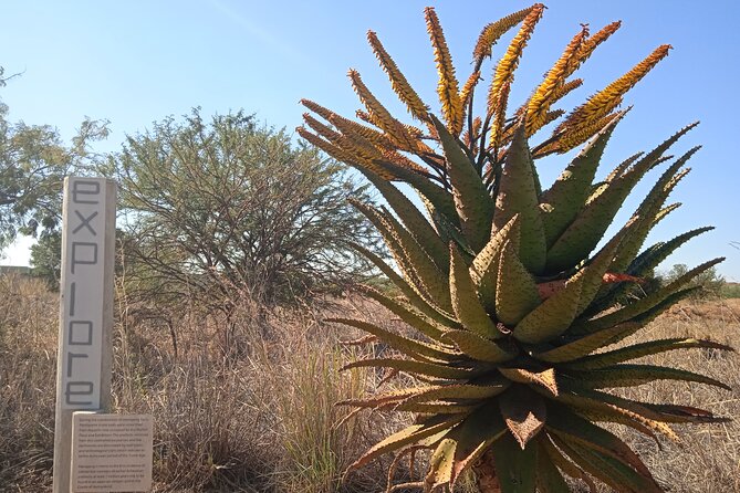 Cradle of Humankind Half Day Tour - Inclusions