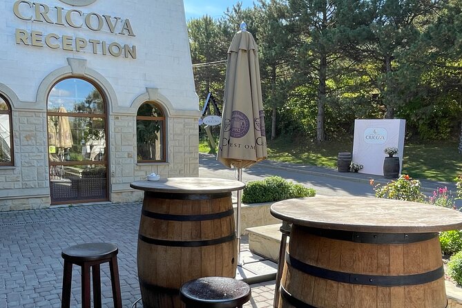 Cricova Cellars - Visit and Tasting Session - Key Points