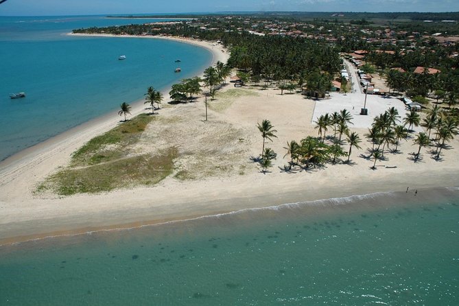 Crown Red - Discovery Coast - Day Trip From Porto Seguro - Good To Know