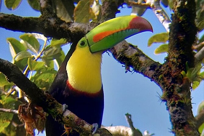 Curicancha Birdwatching Tour - About Your Stay