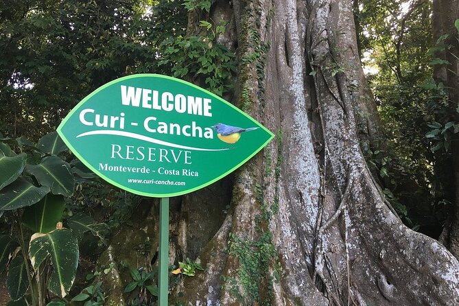 CuriCancha Reserve Admission Ticket - About Your Stay