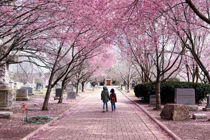 D.C. Cherry Blossoms: Escorted Bus Tour From Toronto - Good To Know