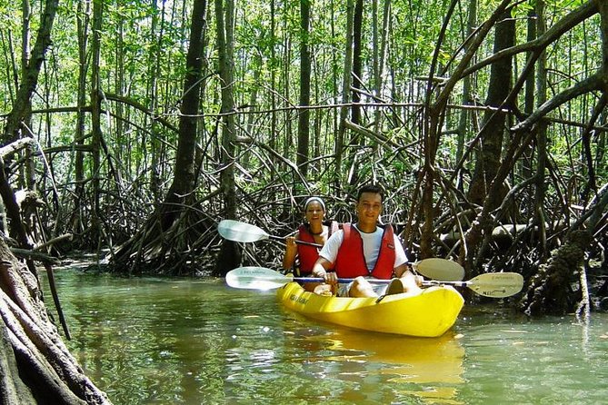 Damas Island Kayaking Tour From Manuel Antonio - About Your Stay