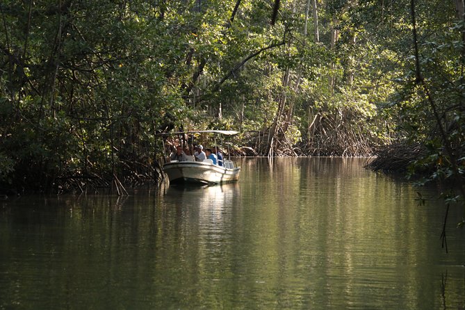 Damas Mangroove Boat Tour From Manuel Antonio - Tour Overview