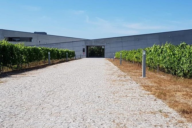 Dão Wine Region: Portuguese Version on Bordeaux - Good To Know