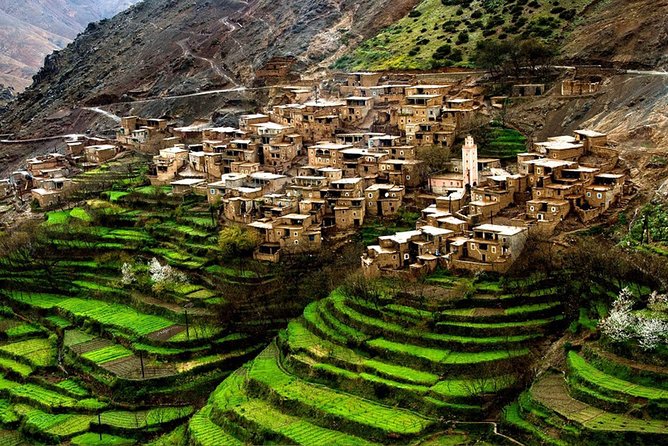 Day in the Atlas Mountains With Camel Ride - Tour Overview