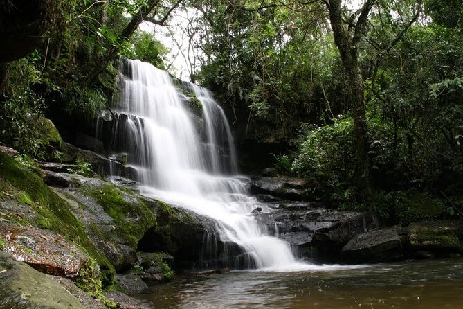 Day Tour to "Ybycuí National Park" - Good To Know