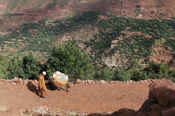 Day Trip From Marrakech to Ait Ben Haddou and Ouarzazate - Itinerary Highlights