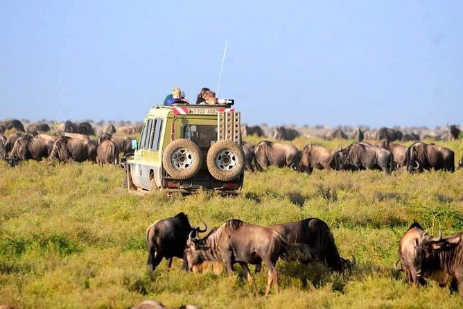 Day Trip Ngorongoro Crater - Overview of Ngorongoro Crater
