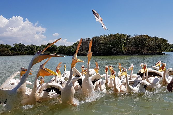 Day Trip on Bahir Dar. to Visit Lake Tana Monasteries and Blue Nile Falls. - Good To Know