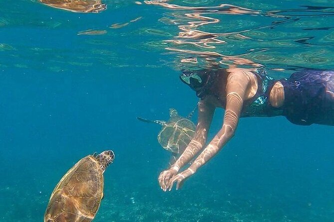 Daymaniyat Islands Snorkeling Half-Day Tour - Good To Know