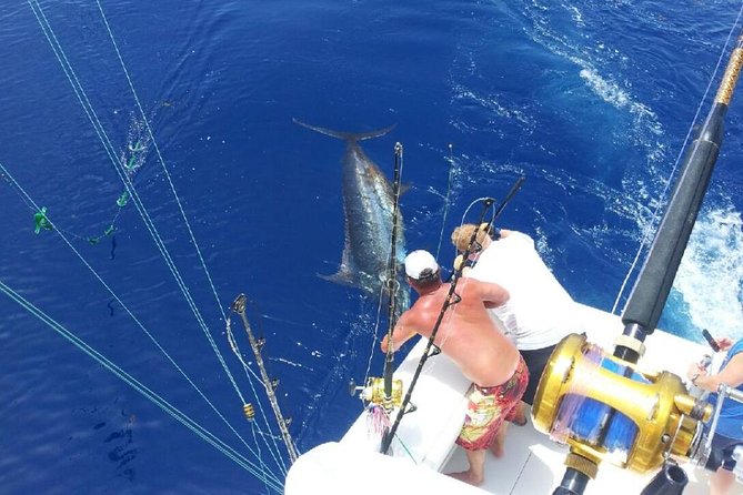 Deep Sea Fishing Tour - Good To Know