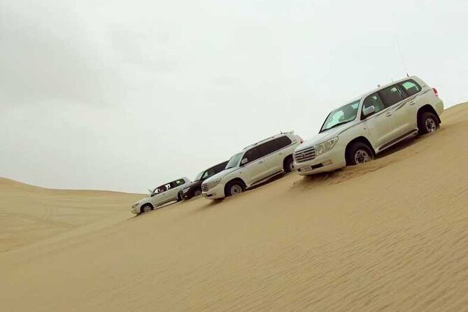 Desert Safari, Camel Ride and Inland Sea Tour - Tour Highlights