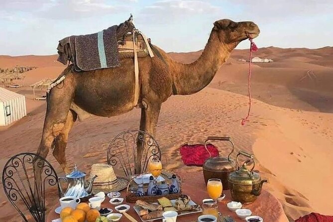 Desert Tour From Marrakech - Good To Know