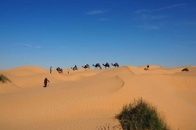 Desert Tours and Adventurous Camel Trekking Through the Sahara - Exploring the Djerba Desert Landscape