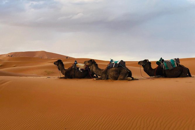 Desert Trip From Fes to Fes via Merzougua (2days,1night) - Good To Know